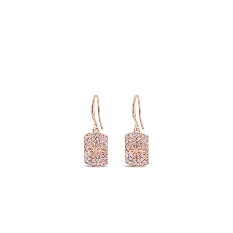 Absolute Disc Drop Earrings, Rose Gold & Pink