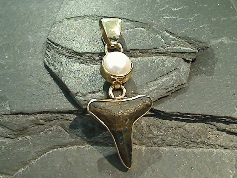 Fossil Shark Tooth, Pearl, Alchemia Pendant