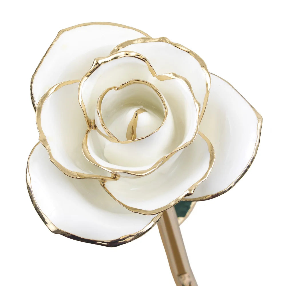 Blissful White Gold Dipped Rose