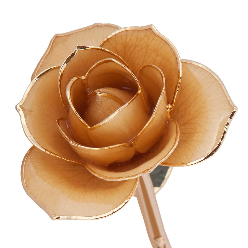 Sweet Cream 24K Gold Dipped Rose